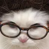 iam.luiewn