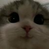 luverr_nanaaa