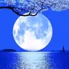 nuongkim138