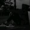 vins_pq