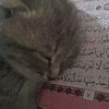 ndra_azzahra