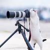 eliphotographyphotos