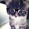 tasha_1450