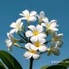 muhurto_05