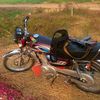 janimalik7803