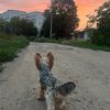 _tim_094