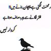 zafar__mali_k