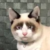 tmtmtdtmtd