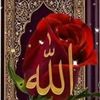user4071980738838
