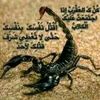 user4144868773762
