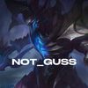 not_guss0