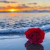 samar.amralla