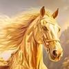 user8506910242097