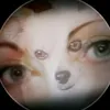 tzeniblue
