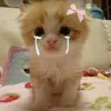 miruss_06