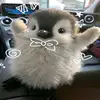 the_slwna