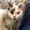 _luli019