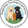 doggydogsgundogs