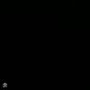 wantexxx14