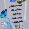 ammar.ammar704