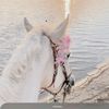 roka.mahmoud1