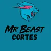 mr.beastcortes6