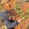 noma.almansouri