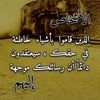 elomdaaa8
