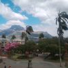 jorge.castro846