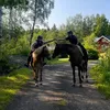 hejsanhej41