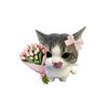 sweetiepie1__