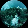lanhdepzai123_
