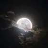 eeemi_a