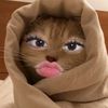 thismohan.gf