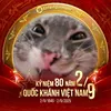 no_id1104099