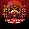 cold_esport1