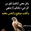 user538624602435