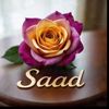 saadali.706