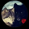 elsad__0001