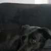 moos.hartjesiiiee