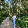 chahana_bc