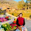 tulashithapa8