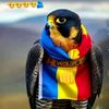 sabure.ahmat