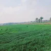 aapd_33