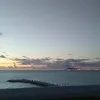 sunrise._.cat