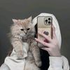hamza.jutt235