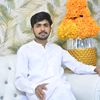 nomibhatti382