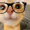 maradump49