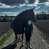 ingeborg_p.r.i.v
