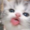 xxyzkaa_04